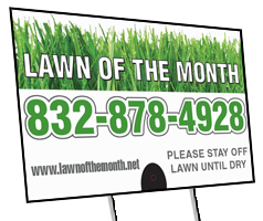 lawn of the month primary logo