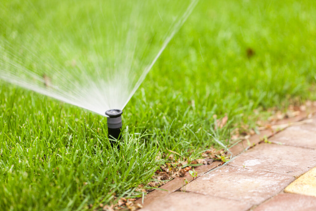 Lawn Care Program sprinkler head home page